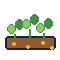 Soil & Cultivation